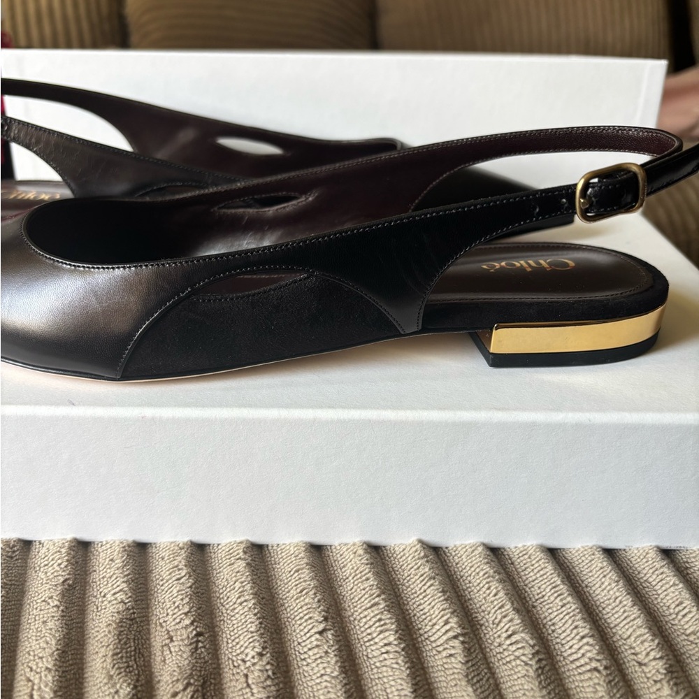 Chloe Women's Ballerinas black